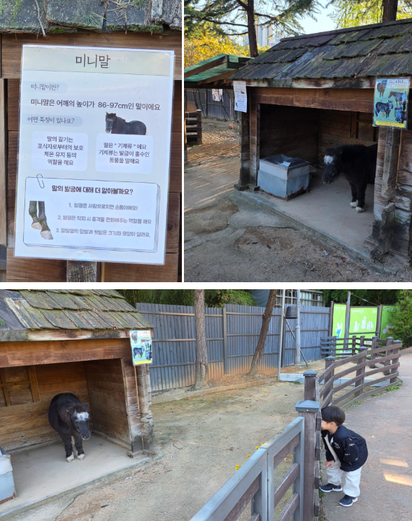 서울어린이대공원 동물원 가을 나들이 (무료입장/관람 코스)