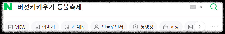 버섯커키우기_등불축제