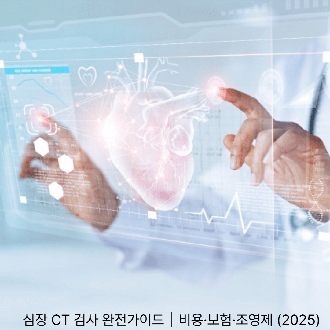 3. 심장 CT 검사 완전가이드|비용·보험·조영제 (2025)