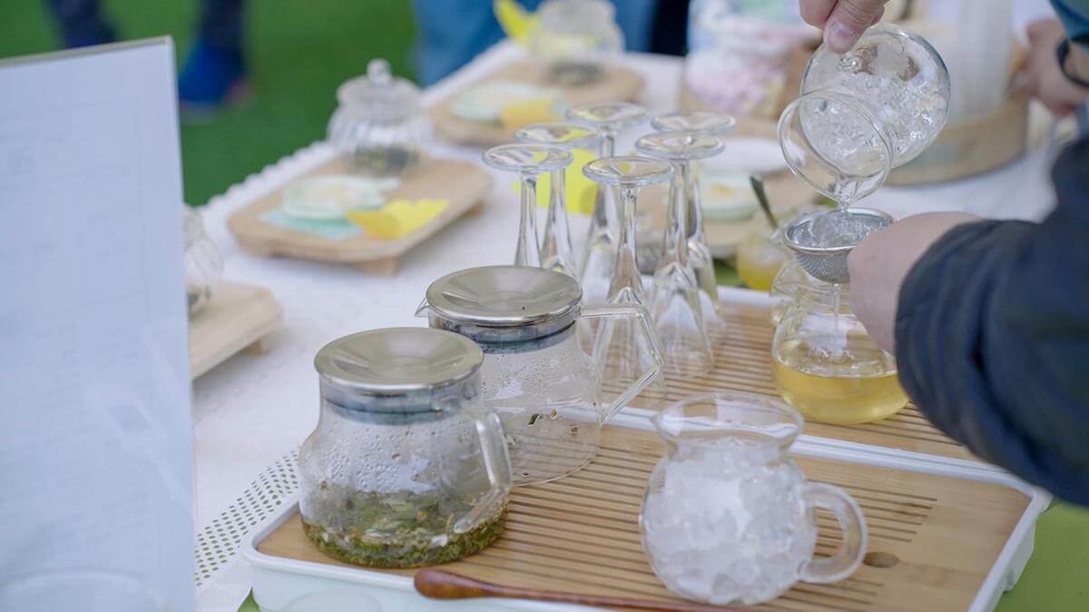 하동야생차문화축제