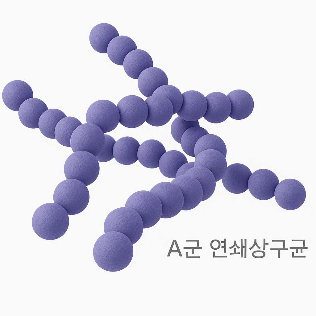 A군 연쇄상구균