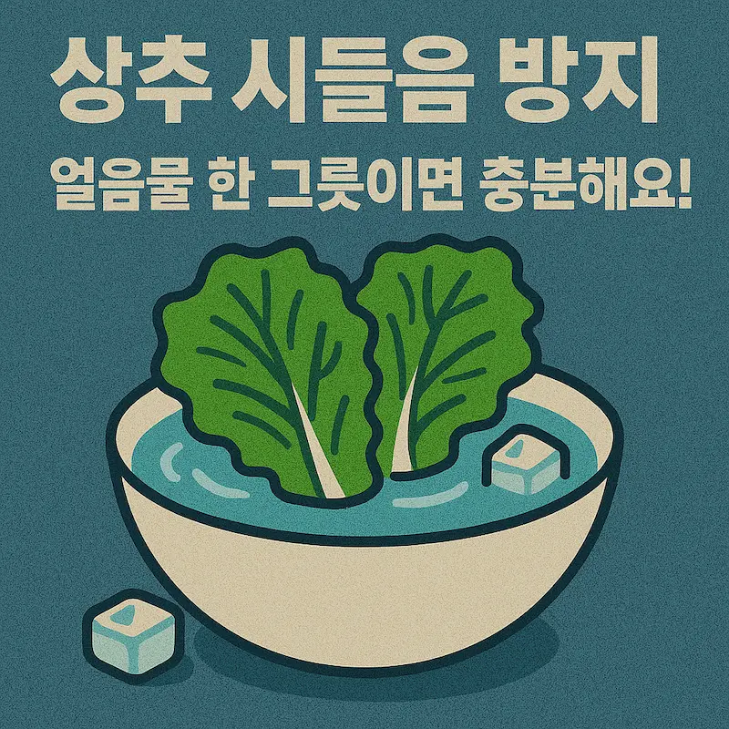 상추 시들음 방지, 얼음물 한 그릇이면 충분해요