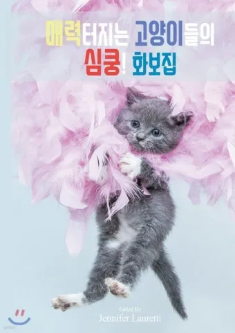 작은고양이 쪼꼬미 냥이 매력 탐구 귀여움 분석_18