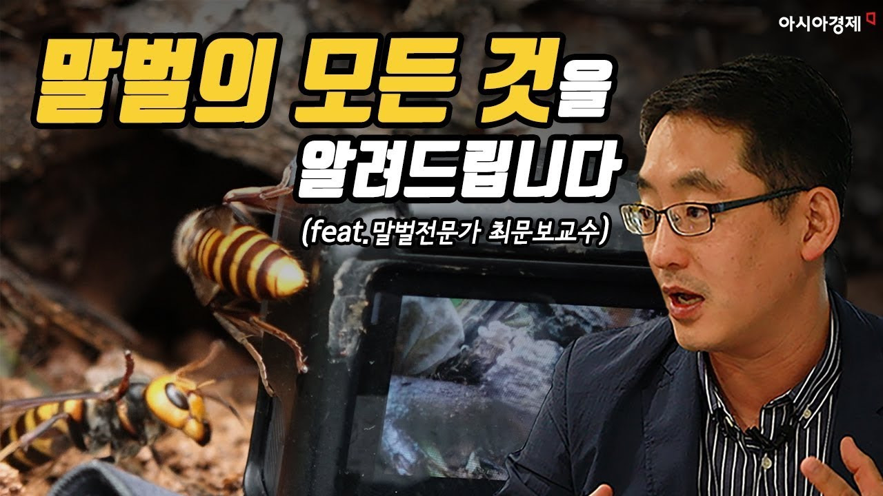 경북대학교 최문보 교수 말벌 전문가