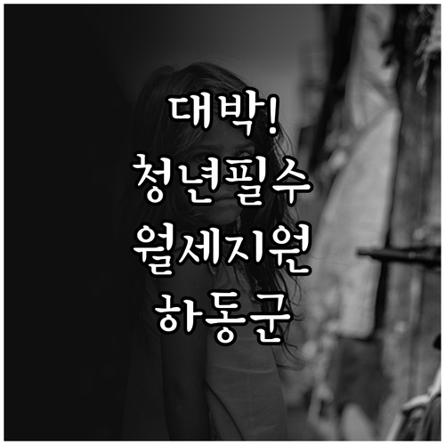 하동군 청년월세 지원사업 총정리 신청..
