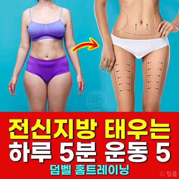 전신지방 태우는 운동 하루5분운동 다이어트