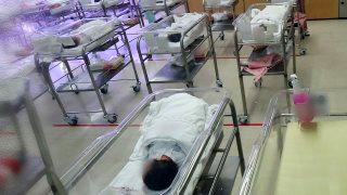 2026년 2월 출생아 증가 13..6% &amp;#124; 30대 출산율 &amp;#124; 20개월째 증가