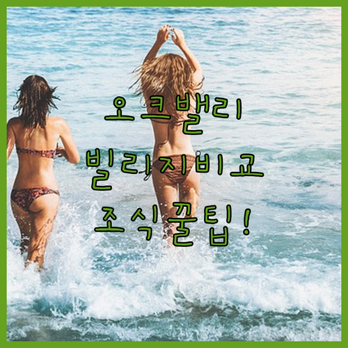 강원도 원주 오크밸리 리조트 밸리 힐..