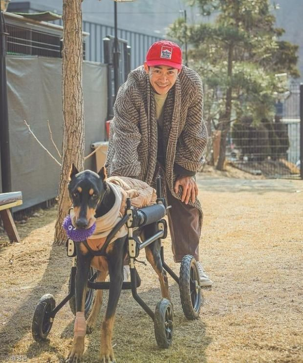 배정남 벨 반려견