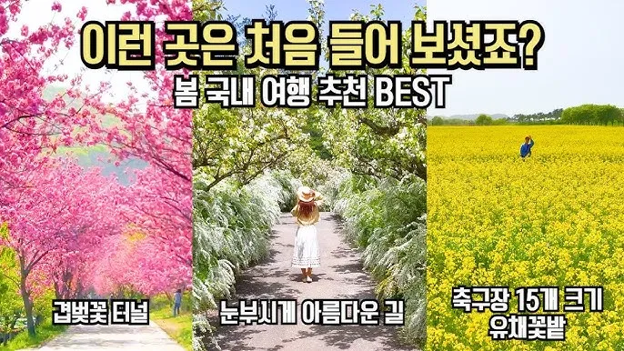 봄 국내 여행지 베스트 10 추천 맛집_7