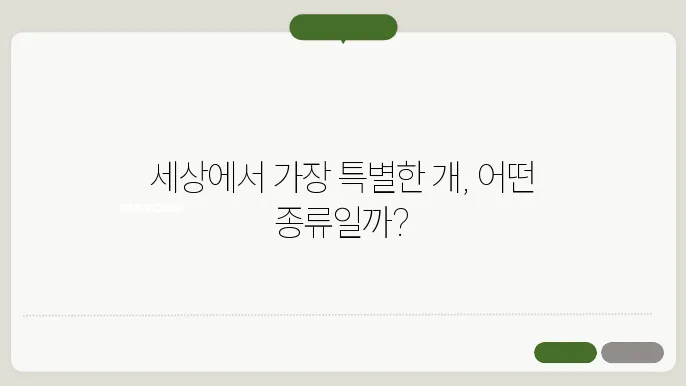 개 종류