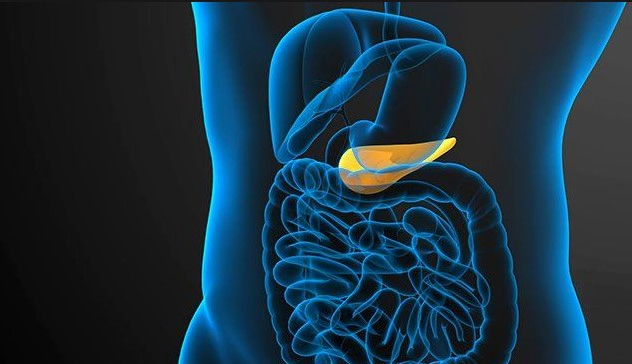 담낭염 증상 5가지