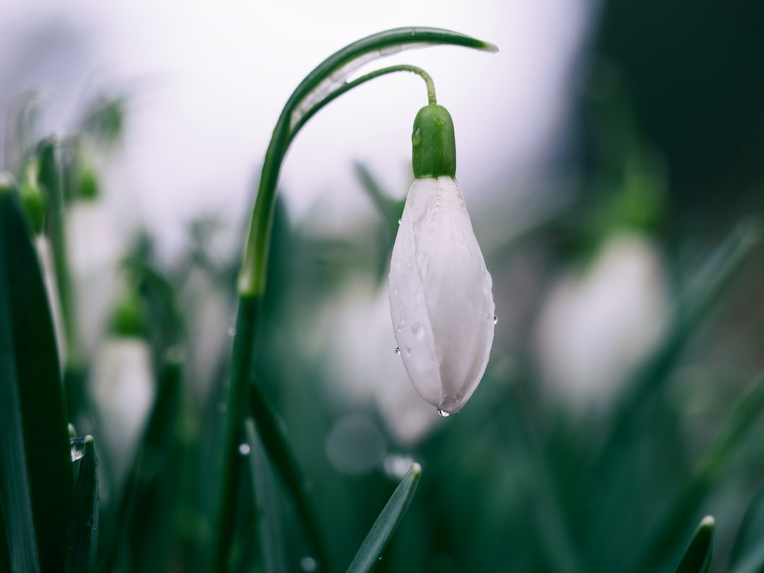 Spring fatigue.