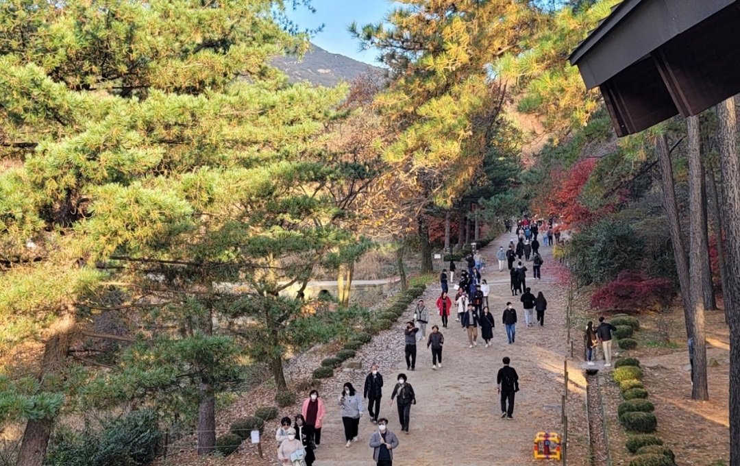 서울대 안양수목원