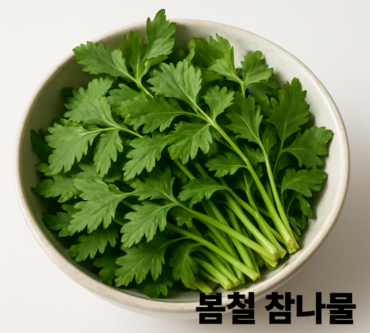 뼈건강 면역력강화 노화방지 빈혈예방 봄철 참나물 효능 영양성분