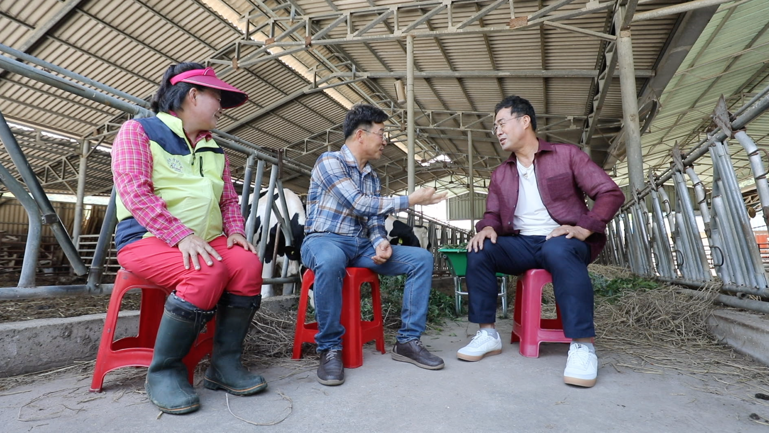 이만기 동네한바퀴 시즌2 백년 술도가 전통주, 막걸리 식초로 무친 새콤한 서대회 추천 경북 의령 맛집 소개