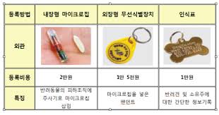 반려동물 등록제 신청방법