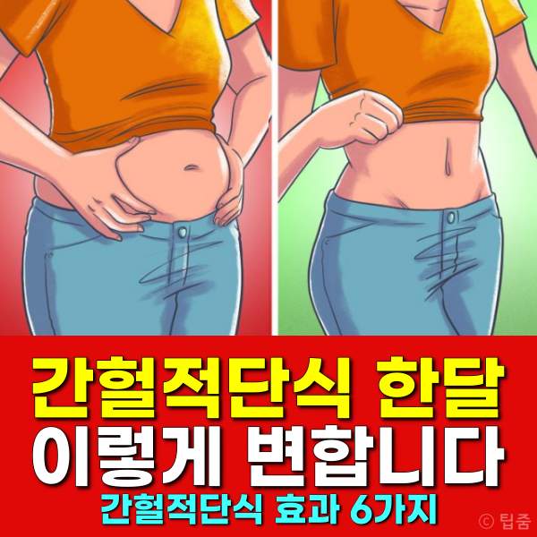 간헐적단식 한달 효과