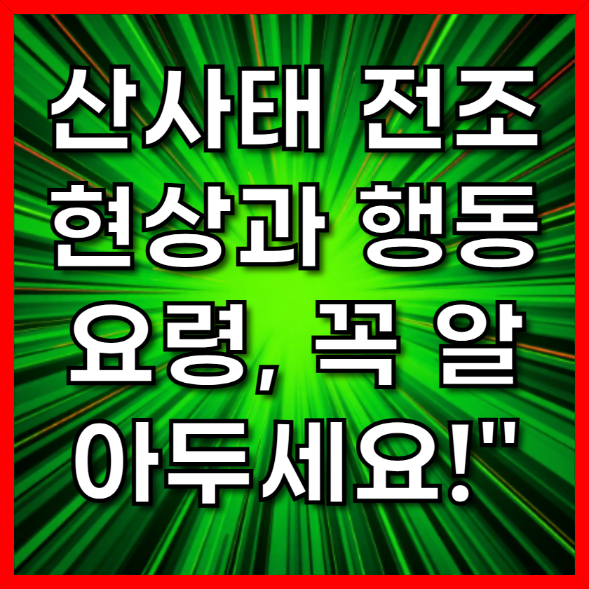산사태 전조 현상과 행동 요령, 꼭 알아두세요!"