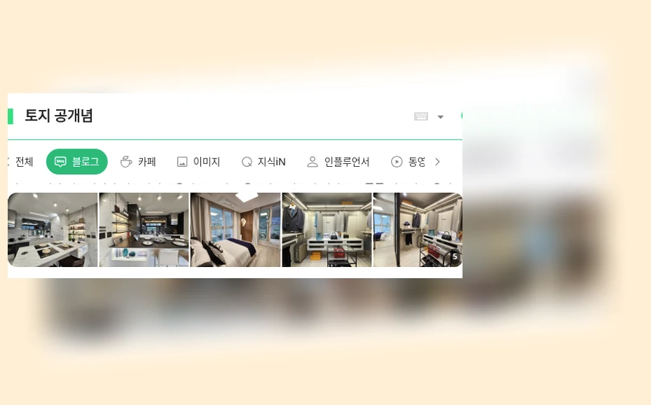 토지 공개념_1_subsection