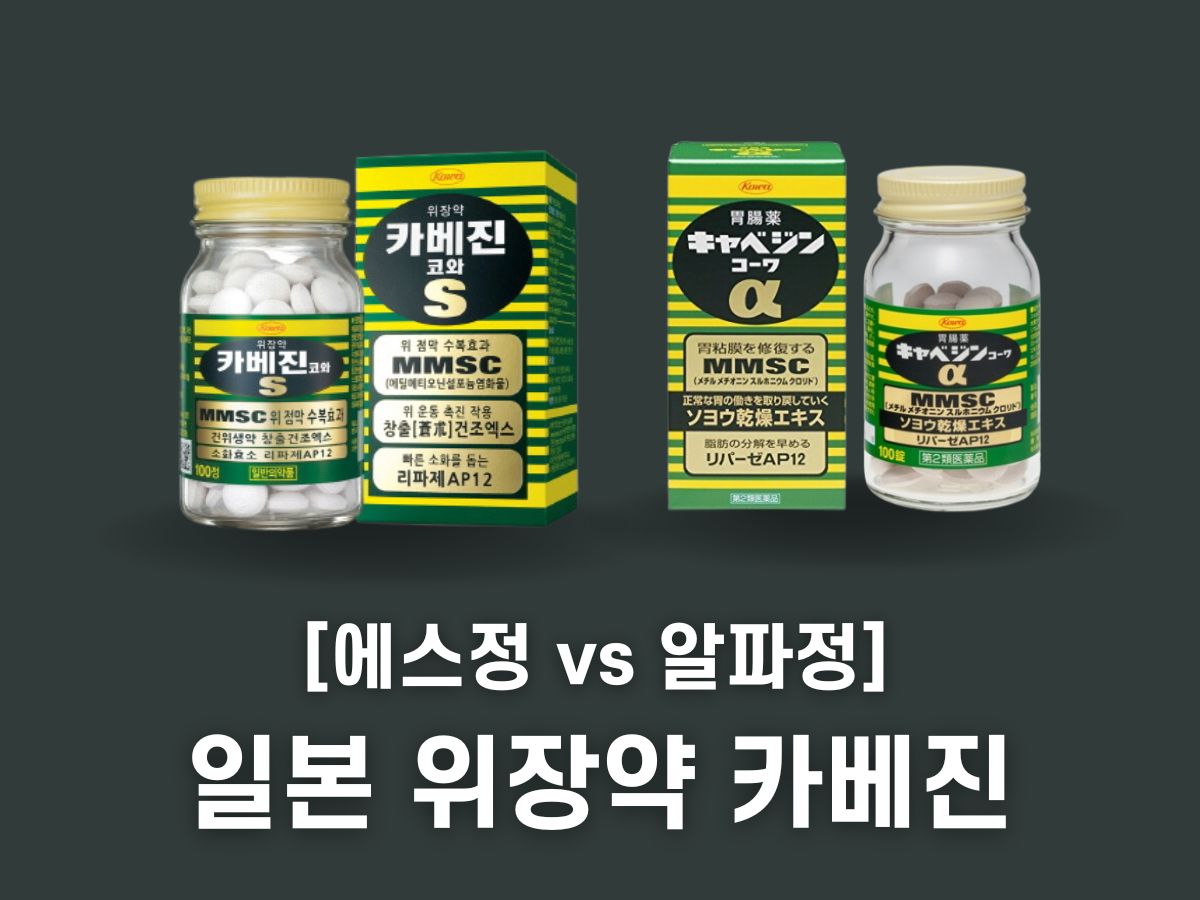 일본 위장약 카베진코와 에스정 알파정