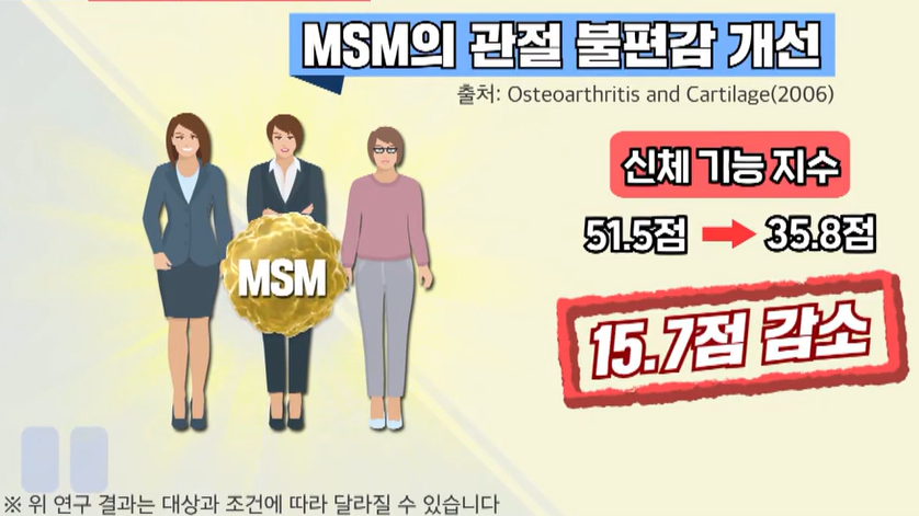 msm의 효능