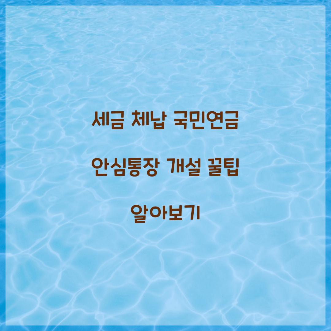 세금 체납 국민연금 안심통장