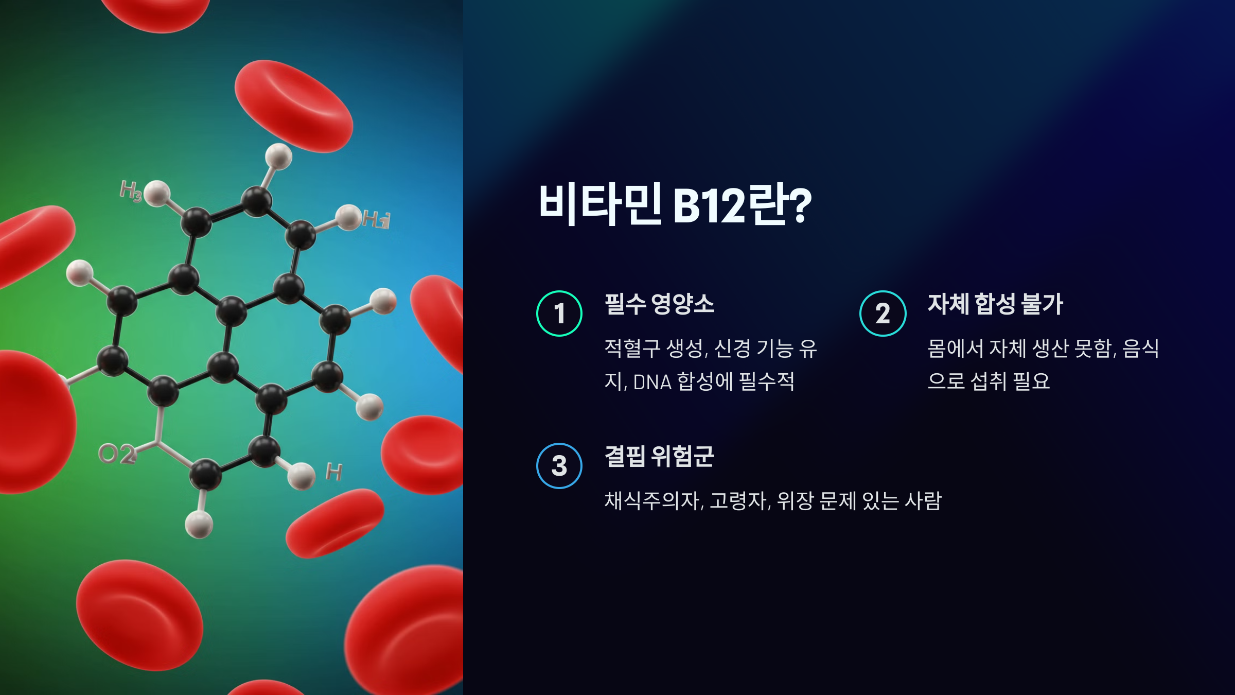 비타민 B12란? 관련 이미지