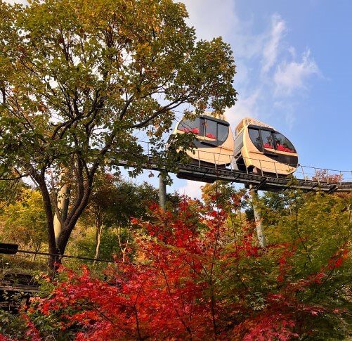 지나가는 모노레일을 아래에서 올려다 본 모습