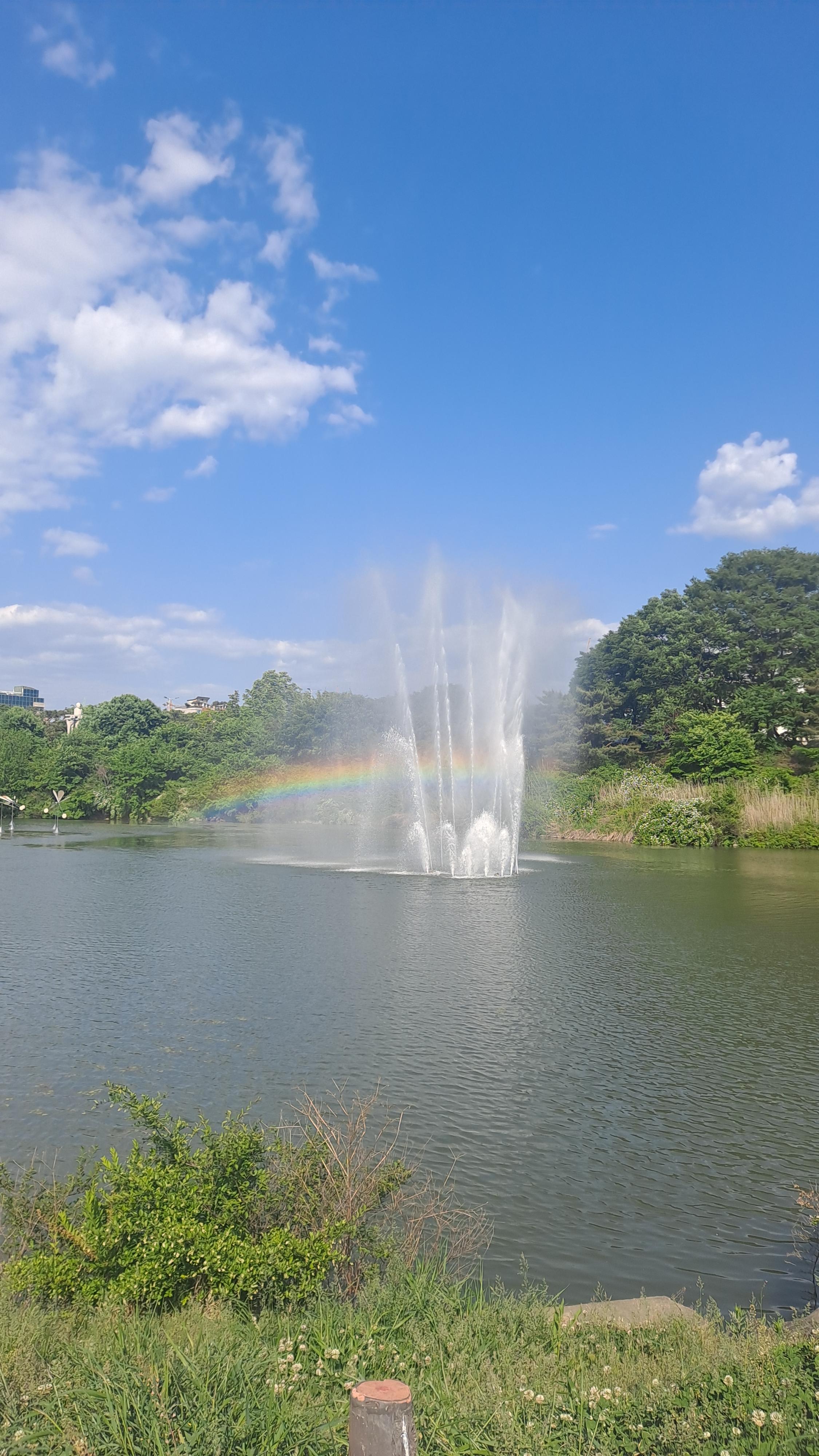 [5월 축제]창포원❘2025 거창에 온 봄 축제, 아리미아꽃축제,거창한 산양삼 축제