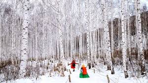 여름에 걷기 좋은 숲길 10