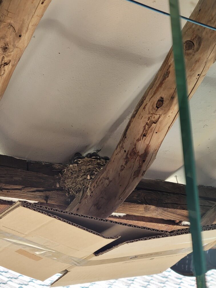 제천 카페 추천