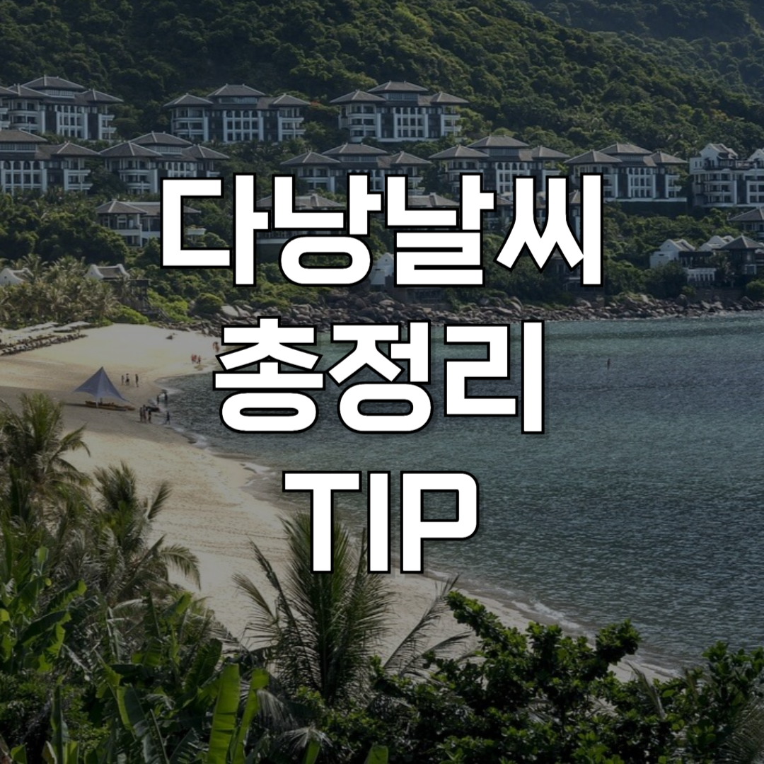 [다낭 날씨 총정리] 다낭 월별 날씨와 우기 및 건기 완벽 가이드