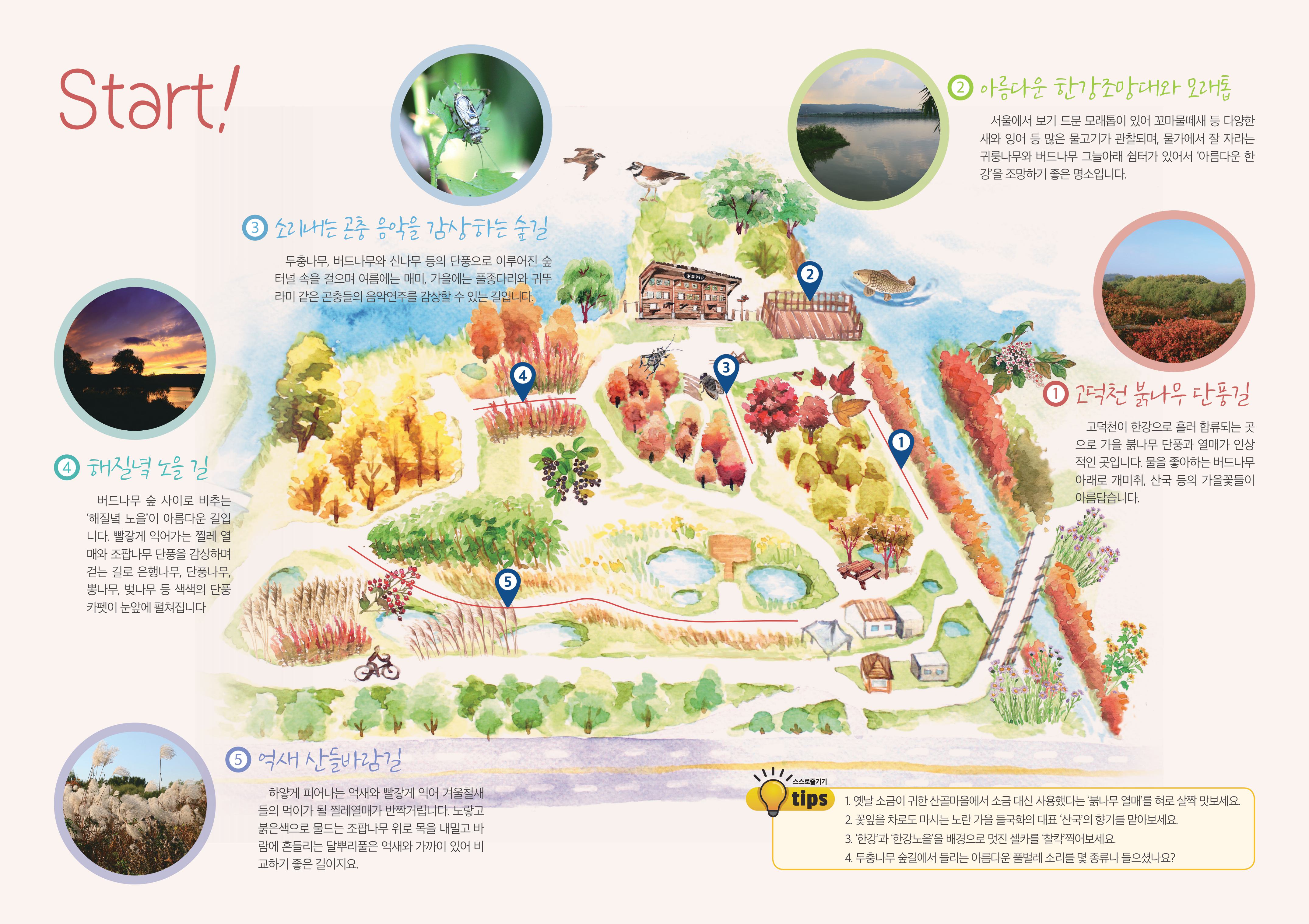 고덕수변생태공원