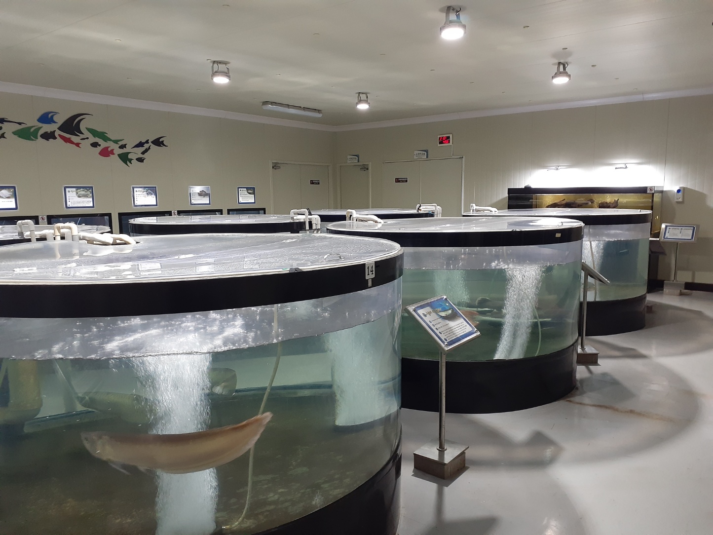 민물고기전시관열대어전시관