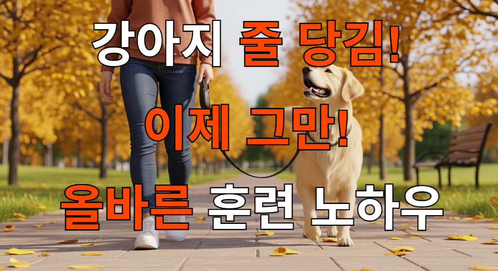 공원에서 주인 옆에 나란히 서서 즐겁게 산책하는 골든 리트리버