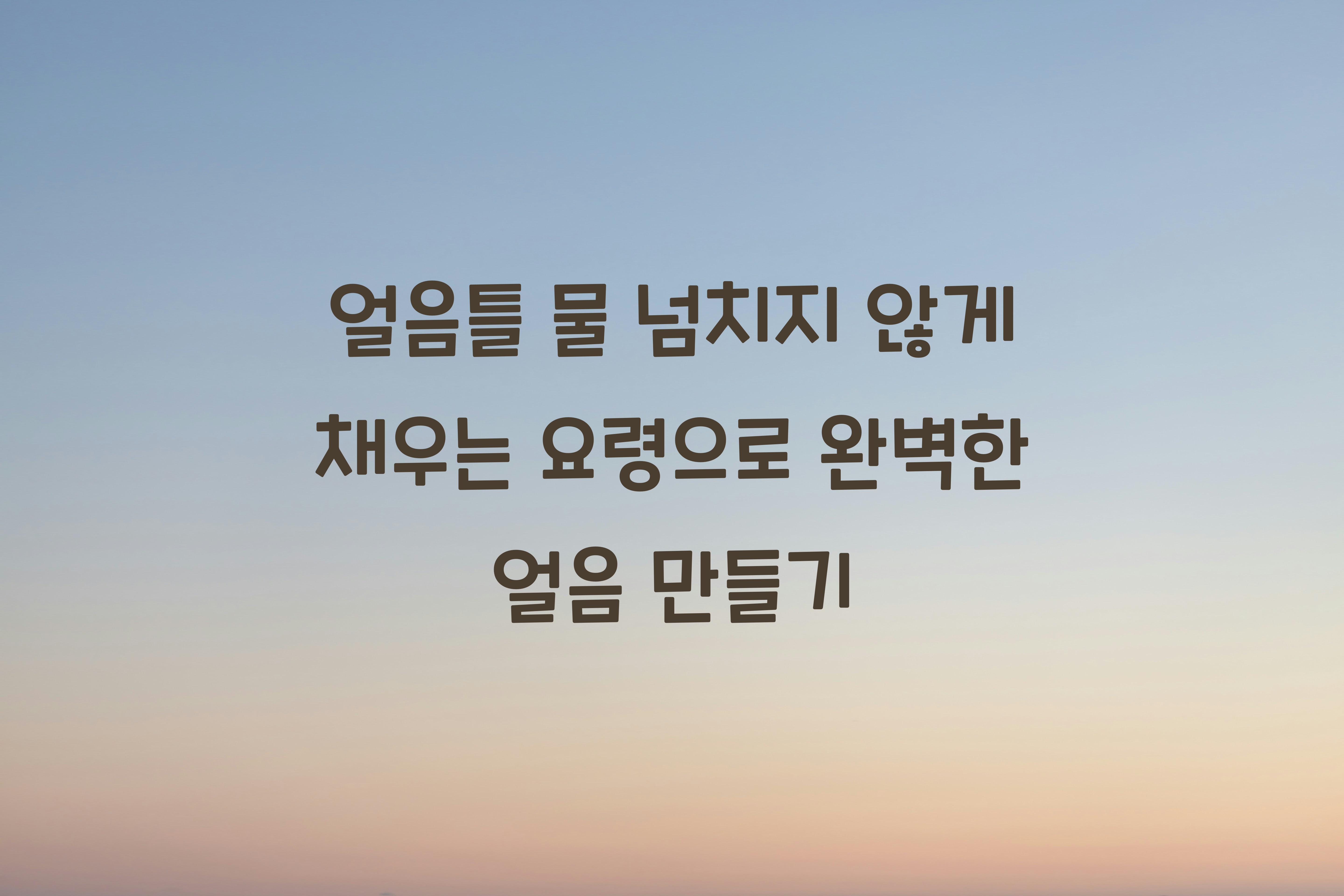 얼음틀 물 넘치지 않게 채우는 요령