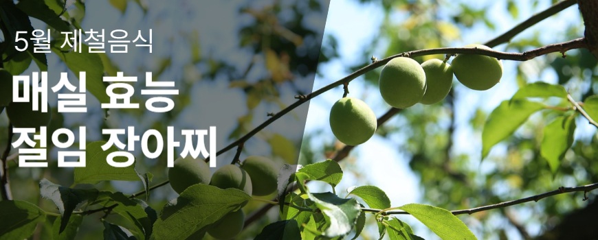 5월 제철음식 매실 효능 절임 장아찌