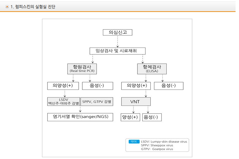 럼피스킨병 증상 럼피스킨병 발생현황 백신