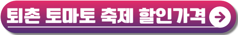 퇴촌 토마토 축제