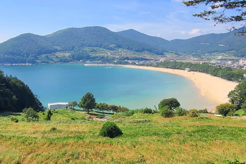 국내 해수욕장 개장일