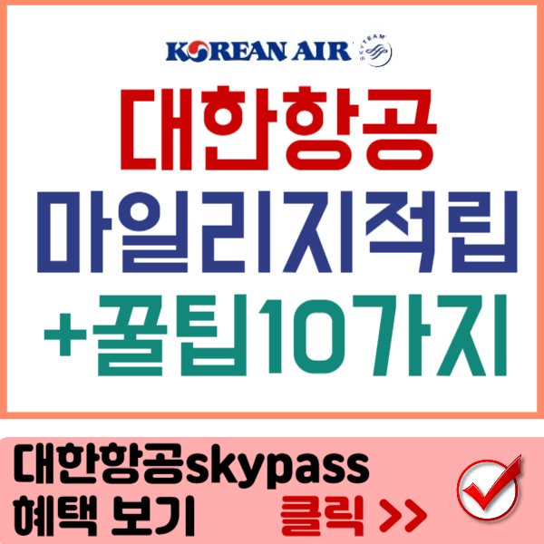 대한항공skypass 회원 혜택 바로가기