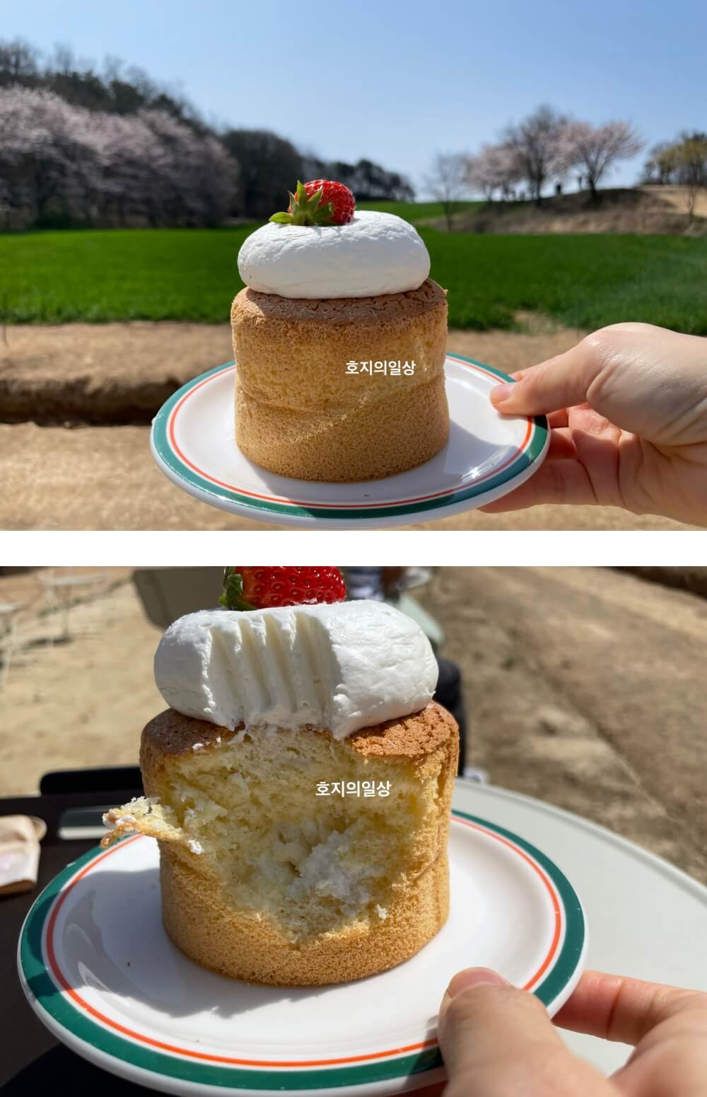 당진 카페 피어라 - 생크림 카스테라