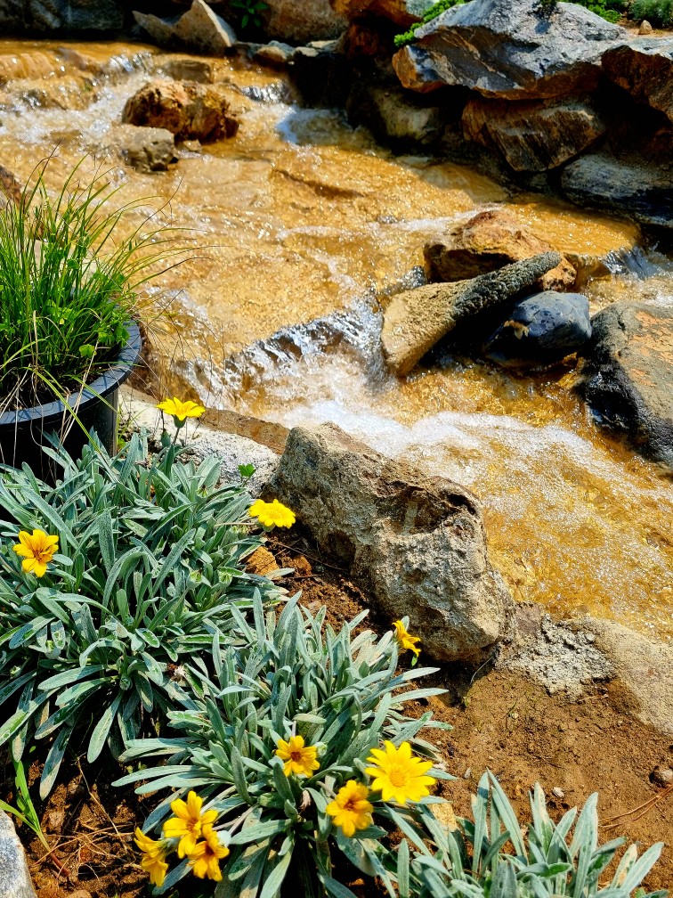 경기도 시흥 산골수목원: 연분홍 수국이 있는 식물원 카페