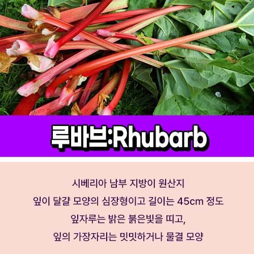 루바브