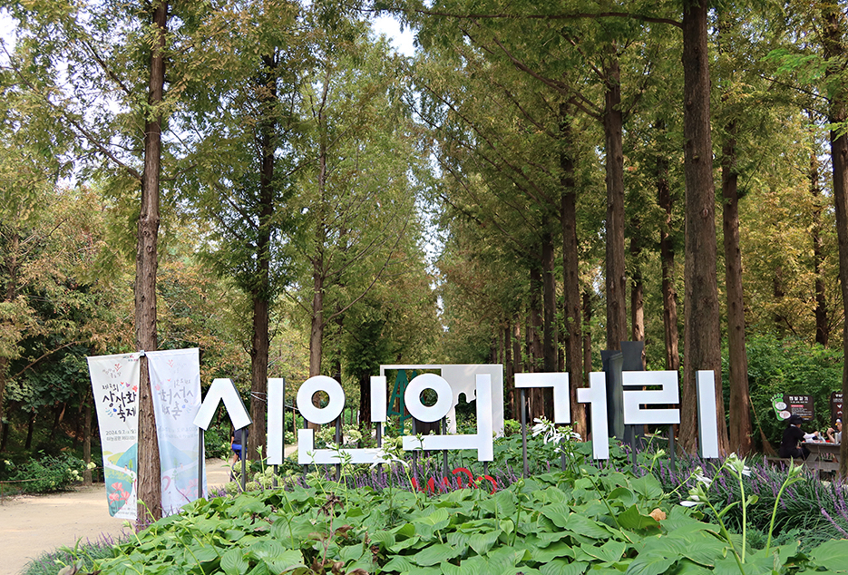 하늘공원 메타세쿼이아길1