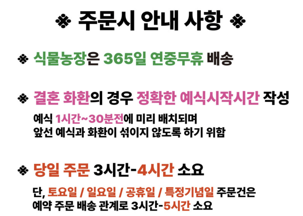 부산 사하구 개업 선물, 개업 화분, 개업 꽃바구니, 화분 배달, 당일 배송 (내돈내산 후기)