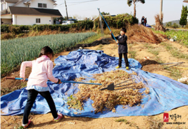 2025 품앗이공연예술축제 간단 가이드 &amp;#124; 농촌에서 만나는 가족 공연축제