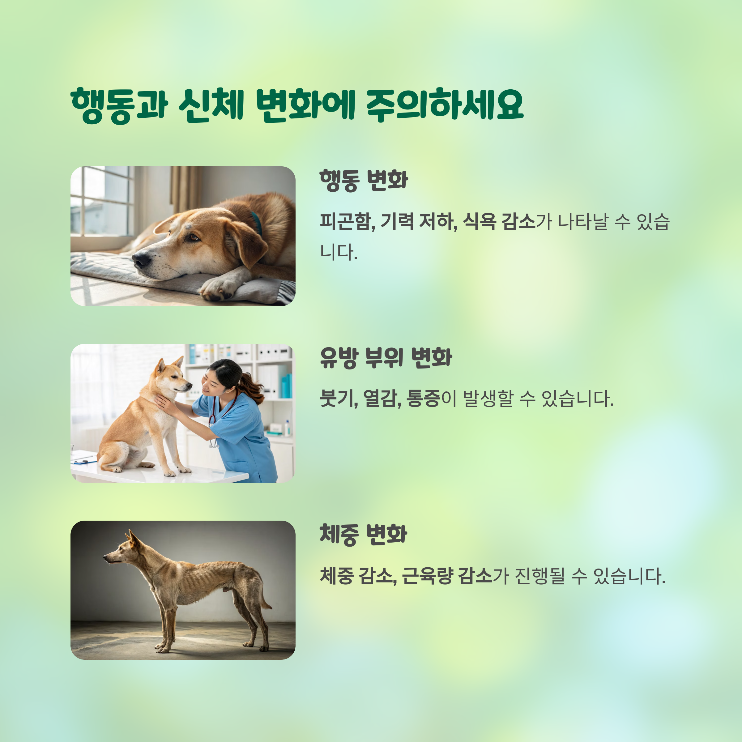 행동과 신체 변화