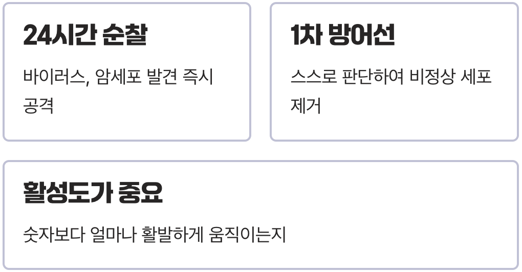 우리 몸의 24시간 정찰병, NK세포란?